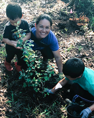 Planting a culturally valuable agroforest in He‘eia, O‘ahu. (Leah Bremer photo)