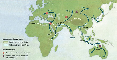 Map of sites and postulated migratory pathways associated with modern humans dispersing across Asia during the Late Pleistocene. Bae et al. 2017.