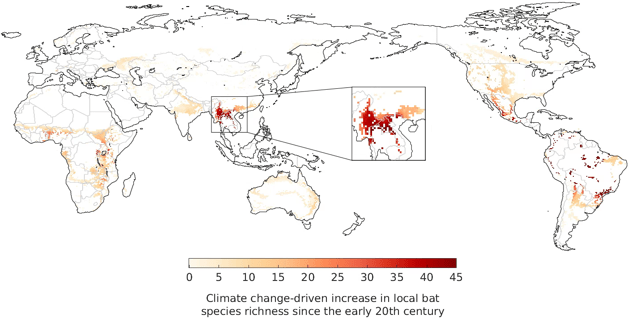 Estimated increase in the local number of bat species due to shifts in their geographical ranges driven by climate change between the 1901-1930 and 1990-2019 period. The zoomed-in area represents the likely spatial origin of the bat-borne ancestors of SARS-CoV-1 and 2.