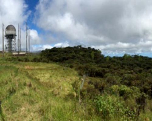 View of the Ka‘ala bog from the HI-NARS gate near the FAA tower.