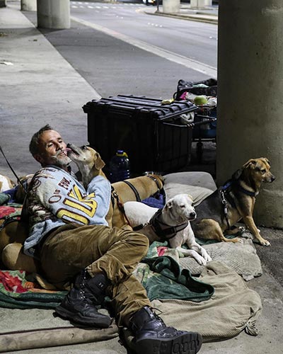 Screenshot of Shafkat Anowar’s two-minute video for a project depicting the life of a homeless man on the streets of Kaimukī with his seven dogs.