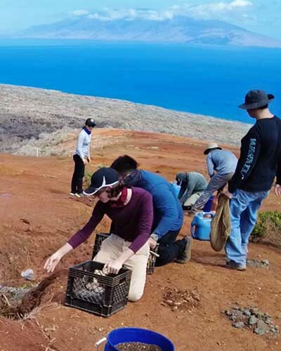 Students plant native species on Kaho‘olawe (Photo courtesy: Jordyn Poyo)