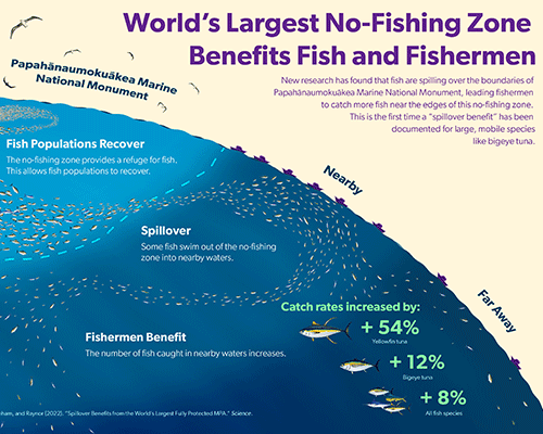 Infographic Showing World's Largest No-Fishing Zone Benefits Fish and Fishermen