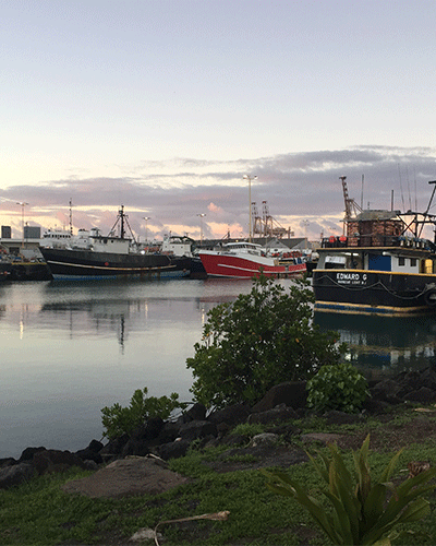 Fishing boats in Honolulu Harbor