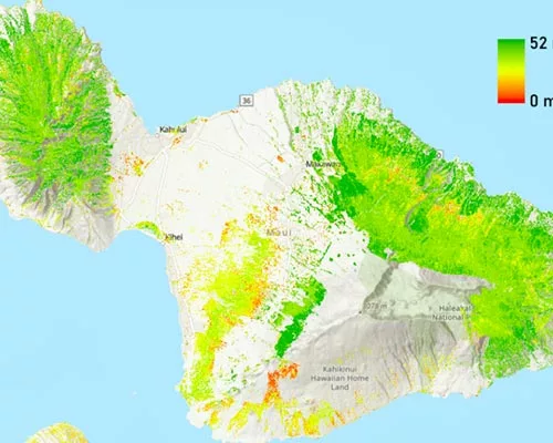 Maui map